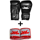 WS BOXING GLOVES 14 oz
