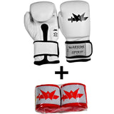 WS BOXING GLOVES 14 oz
